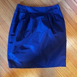 Banana Republic Blue Skirt